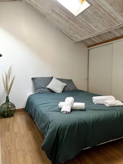 Puy Du Fou Appartement *