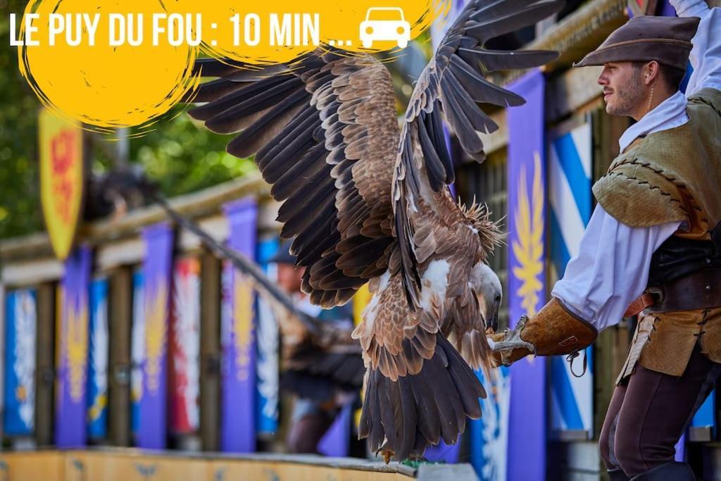 Puy Du Fou *